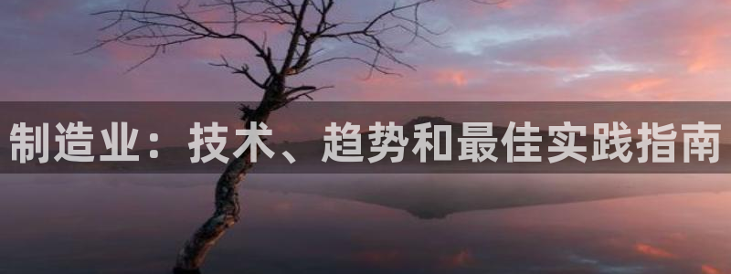 彩神8官网500：制造业：技术、趋势和最佳实践指南