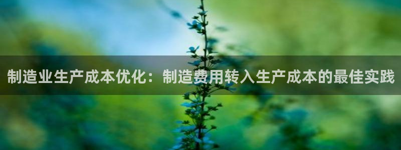 彩神网官网登录：制造业生产成本优化：制造费用转入生产成本的最佳实践